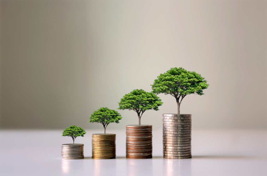 L’investissement